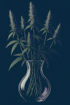 Verbena Hemp Company logo